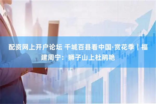 配资网上开户论坛 千城百县看中国·赏花季｜福建周宁：狮子山上杜鹃艳